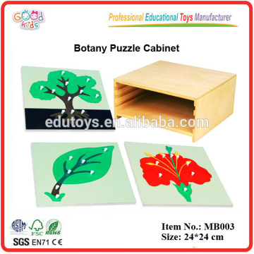 20105 Qualität Montessori Material 3 Botanik Puzzles Pädagogische hölzerne Puzzle Spielzeug